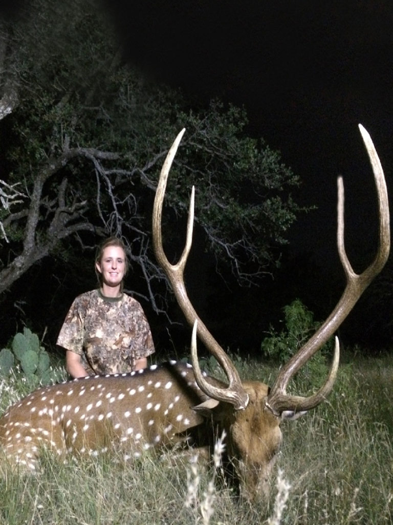 Infinity Outfitters has Axis Deer with long antlers in Texas