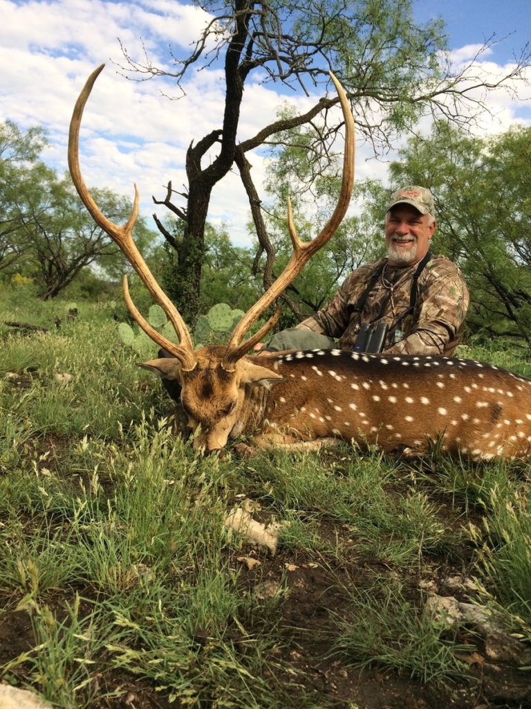 Axis Deer Are Bigger in Texas