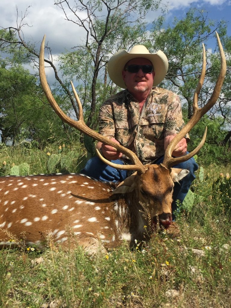 Infinity Outfitters has Axis deer or chital deer hunting in Texas