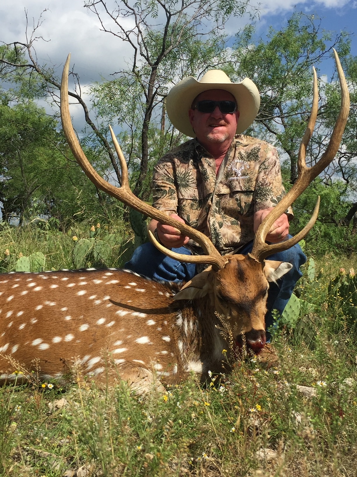 Exotic Axis Deer Hunting in Texas with Infinity Outfitters