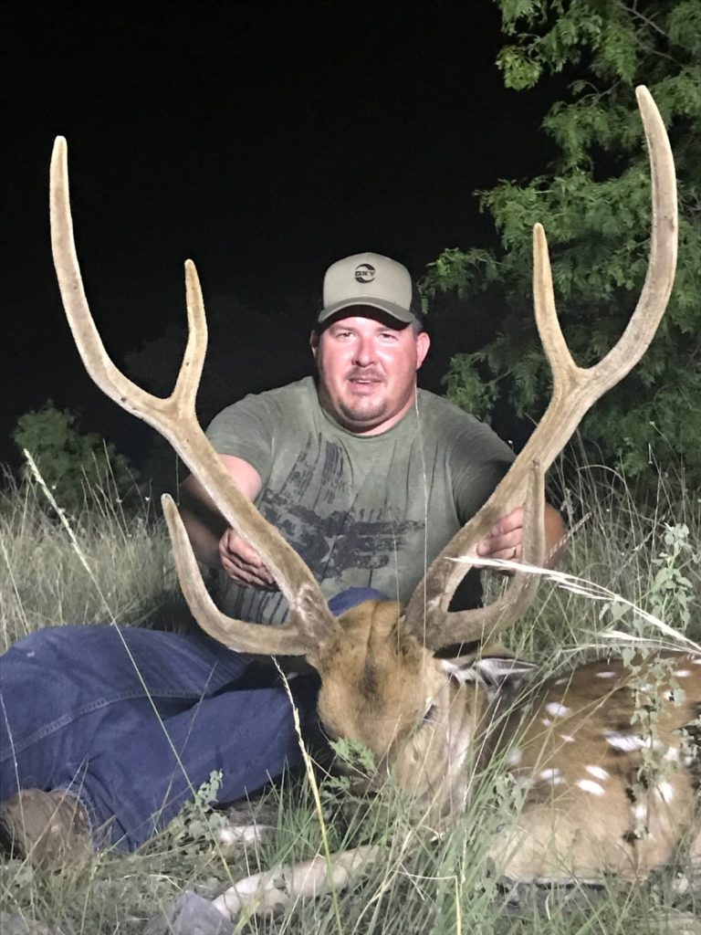 Axis deer or chital deer hunting in Texas